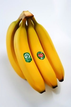 food safety