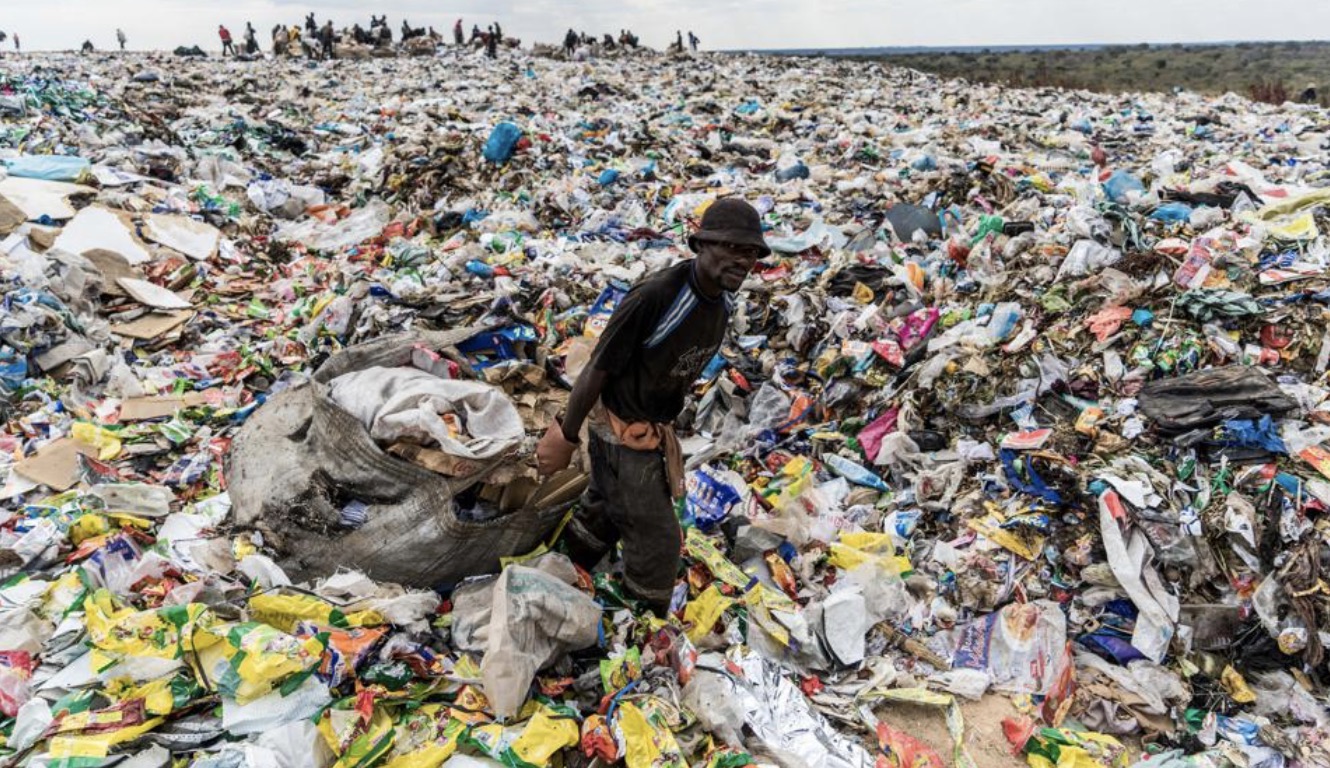 Amid The Plastic Waste Crisis, A New Scientific Discovery Offers Hope ...