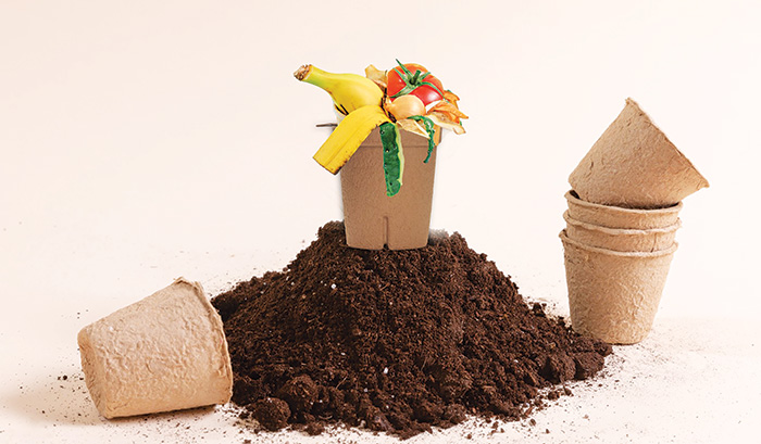 Consumer Education: Promoting the Benefits of Label-less Compostable ...